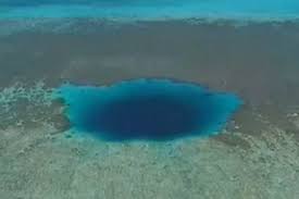 the great blue hole: unknown life forms