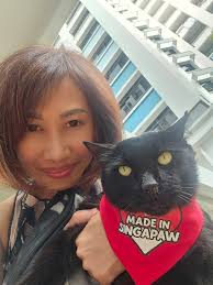 Sayang Our Singapore's Community Cats