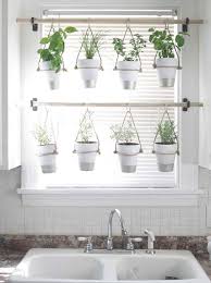 Lose The Drapes 15 Better Ways To Dress A Window Hanging Herb Garden Container Herb Garden Hanging Herbs