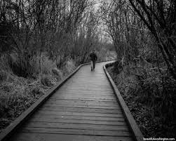 Slough the slough itself is a canal that winds through the park and is best explored by kayak or canoe. Mercer Slough Nature Park
