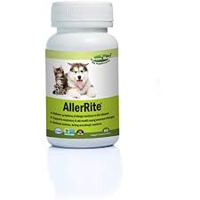 Green Med Pet Supplements 60 Count Allerrite Supplement Read More Info By Clicking The Link On The Image Cats Pet Supplements Pets Cat S