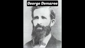 Beetle Traps in Bee Hives