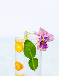 Si nos vimos ayer, kumquat. Kumquat Makrut Lime Spanish Gin Tonic Craft And Cocktails