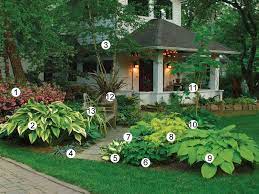 On The Cover Of Issue 127 Finegardening Shade Plants Shade Garden Front Yard Garden