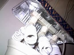 Best cob led grow light. Diy Power Strip Cfl Fixture Grasscity Forums The 1 Marijuana Community Online
