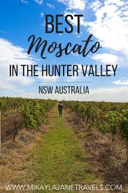 Best Moscato In The Hunter Valley Mikayla Jane Travels Hunter Valley Winery Australia Wine Wine Travel