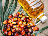 Malaysian palm oil climbs 4pc. Malaysian Palm Oil Futures Latest News Videos Photos About Malaysian Palm Oil Futures The Economic Times Page 1