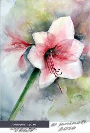 Alle Bilder Sind Originale Aquarelle Auf Hochwertigen Baumwolle Aquarellpapier Mit Exzellenten Lichtbestandigen F Blumen Aquarell Aquarell Blumen Blumen Malen