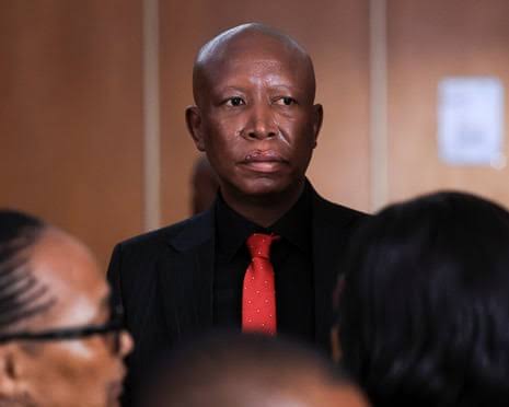 Julius Malema | The Guardian