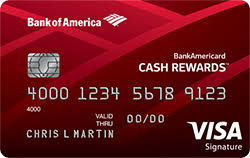 Bank of america® travel rewards credit card for students: What S In My Wallet Bank Of America Credit Card Strategy