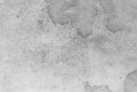 Seamless paper is one of the most versatile types of photography backdrops. Old White Paper Texture Old Gray Paper Vintage Background Stock Image Image Of Manuscript Retro 175129251