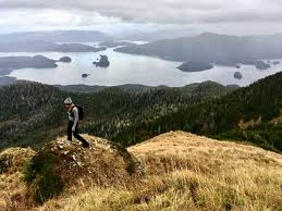 Spotlight on: measuring impact