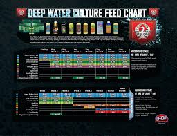 Best Nutrients For Dwc Magewebin Com