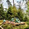 The eifel national park (german: 1