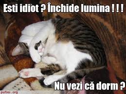 See more ideas about imagini haioase, imagine, semne amuzante. Poze Blog Poze Pisici Amuzante