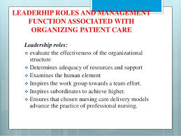 organizing nursing services