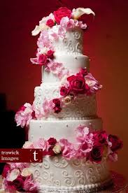 Portfolio Wedding Cakes Photos On Weddingwire Wedding Cake Red Pink Wedding Cake Spring Wedding Cake