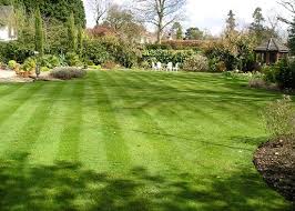 Market share of professional lawn care companies. Grassroots Lawn Treatments Ltd Professional Lawn Care Specialists