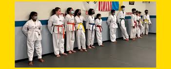 A wide variety of karate belts options are available to you, such as is_customized, gender, and applicable industries. Belt Colors In Taekwondo Akula Taekwondo