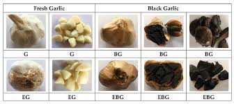 Applied Sciences Free Full Text Evaluation Of Bioactive And Physicochemical Properties Of White And Black Garlic Allium Sativum L From Conventional And Organic Cultivation Html