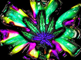 We did not find results for: Trippy Weed Wallpapers Top Free Trippy Weed Backgrounds Wallpaperaccess