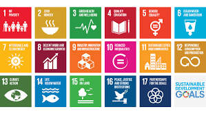 However, to meet the sustainable development goals health targets by 2030, progress must be accelerated, in particular in regions with the highest burden of disease. Sustainable Development Goals Welthungerhilfe