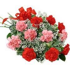 Order Online Red Pink Carnations In Vizag Send Flowers To Visakhapatnam Carnation Bouquet Flowers Online Beautiful Bouquet Of Flowers