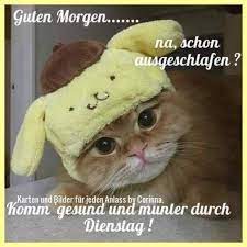 Pass gut auf dich auf. Schonen Dienstag Bilder Kostenlos Fur Whatsapp 54 Gbpicsbilder Com