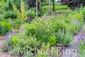 Pin By Joanna Herald On Matrix Planting Perennials Plants Meadow