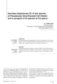 Image result for Pseudocalyx saccatus