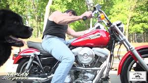 Image result for Scarlet Red 1993 FXR