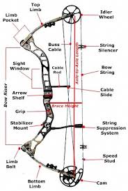 Compound Bow Diagram Archery Bows Archery Bows