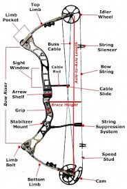 Compound Bow Diagram Archery Bows Archery Bows