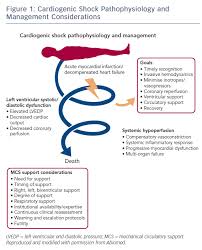 figure 1 cardiogenic shock pathophysiology and management