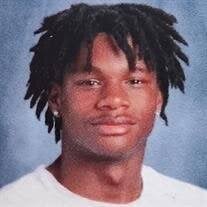 Mr. Nathaniel Williamson Jr. Obituary (2025)