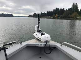 Check spelling or type a new query. Saltwater Trolling Motors Why We Recommend Them Dc Trolling Motor