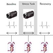 The discussion page may contain suggestions. Assessment Time Points Of Emotional Responses Experienced Using The Download Scientific Diagram