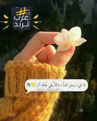 الترند الاول فى الجزائر اليوم هو bookcoverchallenge وهذه بعض الهاشتاجات المنتشرة ايضا ريال iphone wallpaper quotes love love quotes wallpaper arabic quotes