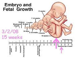 Pin By Sherah Murphy On Baby Borner Women Health Care Workout Motivation Women Womens Health Magazine