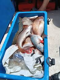 We Launched at Wally's Ramp around 12:pm Awesome 3 and half hours Snappers  and Trevallys went crazy