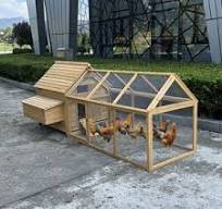 Wooden Design Layer Chicken Cages - Poultry Equipment