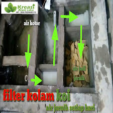 Check spelling or type a new query. Jasa Kontraktor Kolam Ikan Koi Di Jakarta Tukang Ikan Koi Di Jakarta