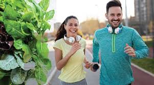 How much vitamin k should you take in one day? How To Get Mk 9 Benefits From Your Vitamin K2 Life Extension