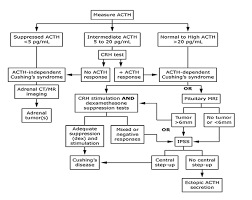 Image result for Cushing Response