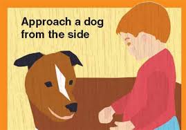 But the little humans often hurt even more than. Do S Don Ts With Kids And Dogs How To Behave Around The Family Pet The Blade