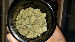 Slurricane Marijuana Strain Information & Reviews