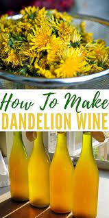 How To Make Dandelion Wine Shtfpreparedness Dandelion Wine Wine Recipes Homemade Wine Recipes