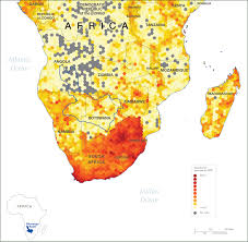 Image result for Craterosiphon quarrei