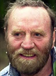 Auf Wiedersehen Pet (unofficial)