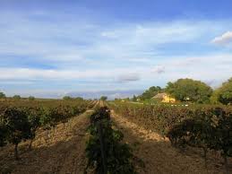 Priorat Et Penedes Oenotourisme Cooperatisme Et Environnement